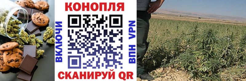 Купить  Нижние Серги  Cannafood конопля 