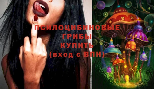 apvp Иннополис
