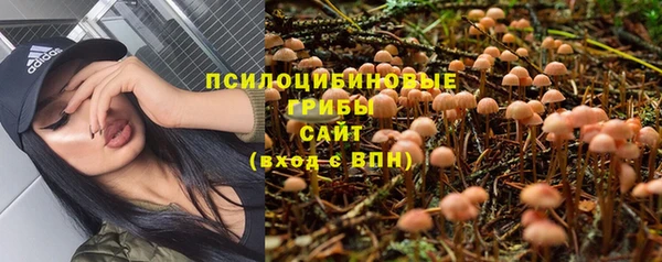 apvp Иннополис