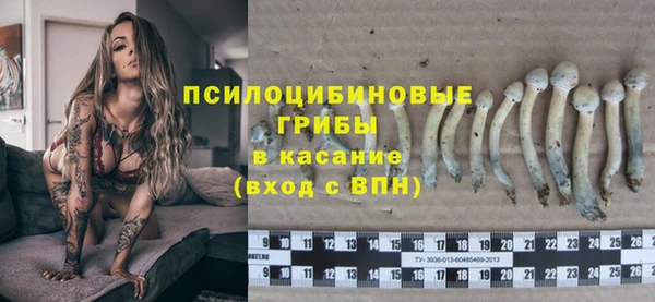 apvp Иннополис