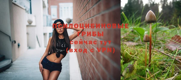эйфоретик Инта