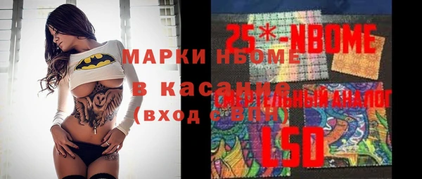 apvp Иннополис