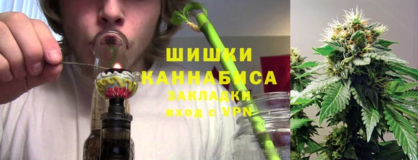 apvp Иннополис