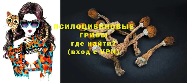 гидропоника Инсар
